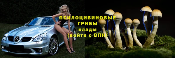 мескалин Белокуриха